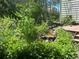 Lush backyard landscaping, complete with a peaceful pond and steps to the deck at 248 Summit Trl, Broomfield, CO 80020