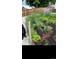 Raised garden bed with a variety of vegetables, herbs, and a black dog at 3111 W Bails Pl, Denver, CO 80219