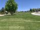 Large green park with a basketball court, mature trees, and neighborhood views at 6379 S Jasmine Way, Centennial, CO 80111