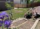 Beautiful backyard with tiered garden and charming wooden steps at 4783 S Taft St, Morrison, CO 80465