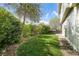 Lush backyard featuring green grass and mature trees, creating a private and serene outdoor space at 11519 Wray Ct, Parker, CO 80134