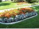 Professionally landscaped flower bed with vibrant red flowers and silvery foliage at 9625 E Center Ave # 5C, Denver, CO 80247