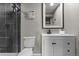 Clean bathroom with white vanity, toilet, framed mirror, and walk-in shower with dark tile at 20650 Parker Vista Cir, Parker, CO 80138