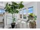 Bright sunroom with lots of natural light, dark wood floors, and decorative plants at 9741 Taylor River Cir, Littleton, CO 80125