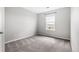 Bright and airy bedroom features plush carpeting, a large window with a view, and ample space for personalization at 3502 Nez Perce Trl, Castle Rock, CO 80109