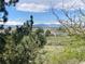 Scenic view of community homes surrounded by lush greenery with a pond and mountain backdrop at 8405 Pebble Creek Way # 202, Highlands Ranch, CO 80126