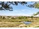 Picturesque pond and green space with homes in the background, framed by trees against a blue sky at 8405 Pebble Creek Way # 202, Highlands Ranch, CO 80126