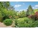 Expansive backyard filled with green foliage and mature trees, creating a private outdoor oasis at 108 Ward Ct, Lakewood, CO 80228