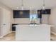 Modern kitchen with white quartz countertops and dark cabinets at 3227 N Steele St, Denver, CO 80205