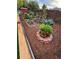 Well maintained garden with various vegetables and flowers at 2525 Nelson St, Lakewood, CO 80215