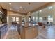 Spacious kitchen island with stainless steel appliances, flows into dining and living areas at 9274 Viaggio Way, Highlands Ranch, CO 80126