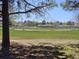 View of baseball field and a grassy public field with trees from backyard of home at 4609 S Kalispell Way, Aurora, CO 80015
