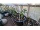 Interior view of the greenhouse featuring pots with young plants and gardening equipment at 30273 Conifer Rd, Evergreen, CO 80439