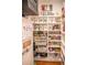 Well-organized pantry with ample shelving and storage at 402 Garfield St, Denver, CO 80206