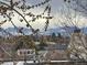 Scenic view of mountains from the home's exterior, framed by trees and rooftops, showcasing the property's beautiful location at 7255 E Quincy Ave # 309, Denver, CO 80237