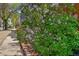 Lush greenery and landscaping create a serene atmosphere along the sidewalk at 2955 N Columbine St, Denver, CO 80205