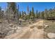 Exterior view of property with long driveway, natural setting, and wooded lot at 33 L Rd, Golden, CO 80403