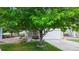 Charming home with lush green lawn and a beautiful mature tree in the front yard at 7270 Marmot Ridge Pl, Littleton, CO 80125