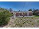 Brick home's backyard featuring a patio and a mix of greenery under a clear, blue sky at 8325 Elati St, Denver, CO 80221