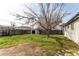 Spacious backyard with a storage shed and some grass at 280 Birch St, Bennett, CO 80102