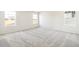 Bright and airy bedroom with three windows offering abundant natural light and plush gray carpeting at 1871 Water Birch Way, Castle Rock, CO 80108
