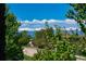 Mountain view through trees and over the community street with sidewalk at 16549 Prospect Ln, Broomfield, CO 80023