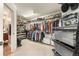 Walk-in closet featuring custom shelving and ample storage space for organization of clothing and accessories at 1133 Lucky Ct, Castle Rock, CO 80109