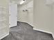 Walk-in closet with carpeted floor, lighting and shelving at 11670 S Flower Mound Way, Parker, CO 80134
