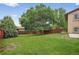 Backyard boasts lush green grass, mature trees, and a wooden fence at 18445 W 59Th Dr, Golden, CO 80403