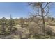 View of the community green space with walking path, trees, and clear blue skies at 5075 Garrison St # 3, Wheat Ridge, CO 80033