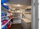 Organized pantry with shelving provides ample storage for food and household items at 6255 Collegiate Dr, Highlands Ranch, CO 80130