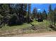 Picturesque wooded property with a car parked on a natural driveway leading to a potential building site at 6241 Kilimanjaro Dr, Evergreen, CO 80439