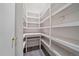Walk-in pantry equipped with many shelves and countertop space for efficient storage at 8438 Everett Way # B, Arvada, CO 80005