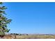 Expansive backyard with mature tree line offers a serene and private outdoor space at 14259 W Virginia Dr, Lakewood, CO 80228