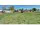 Spacious backyard with a lush green lawn, shed, and plenty of room to play at 2401 W Jewell Ave, Denver, CO 80219