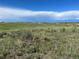 Beautiful grassland with vibrant greenery and expansive blue skies, perfect for nature lovers at 270 High Meadows Loop, Elizabeth, CO 80107