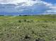 Scenic view of a lush landscape with a distant house and cloudy sky at 270 High Meadows Loop, Elizabeth, CO 80107