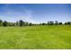 Expansive green space provides a serene backdrop and opportunities for outdoor recreation at 8611 Gold Peak Dr # D, Highlands Ranch, CO 80130