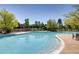 Large community pool surrounded by lush landscaping with ample lounge chairs for sunbathing at 8611 Gold Peak Dr # D, Highlands Ranch, CO 80130