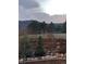 A group of deer grazes in an expansive backyard near a fence and trees at 17718 Leisure Lake Dr, Monument, CO 80132