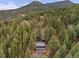 Overhead shot of a dark two-story home encircled by a dense forest of tall pine trees at 27891 Columbine Rd, Evergreen, CO 80439