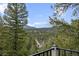Scenic mountain view from the deck of this property, framed by lush green trees and a clear blue sky at 27891 Columbine Rd, Evergreen, CO 80439