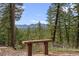 Scenic mountain views from the property's bench surrounded by pine trees at 27891 Columbine Rd, Evergreen, CO 80439