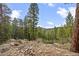 Wooded home site with stunning views and natural rock outcroppings at 27891 Columbine Rd, Evergreen, CO 80439