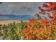 Scenic view of mountains framed by vibrant autumn foliage at 1462 Hyacinth Way, Superior, CO 80027