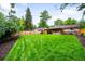 Spacious backyard with lush lawn, wood fence, and mature trees at 1810 S Kearney St, Denver, CO 80224