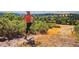 Personal runs a trail surrounded by hills and grasslands at 3929 Treadway Pt, Castle Rock, CO 80108