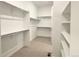 Spacious walk-in closet with shelving at 3929 Treadway Pt, Castle Rock, CO 80108