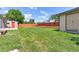 Large, well-maintained backyard with green grass, wooden fence, and potential for outdoor enjoyment at 10926 Dahlia Way, Thornton, CO 80233
