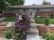 Beautiful home with a lush front yard, a stone pathway and lovely purple flowers at 6719 W 70Th Ave, Arvada, CO 80003